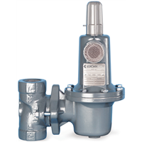 Mark 627 Series Gas Service Regulator